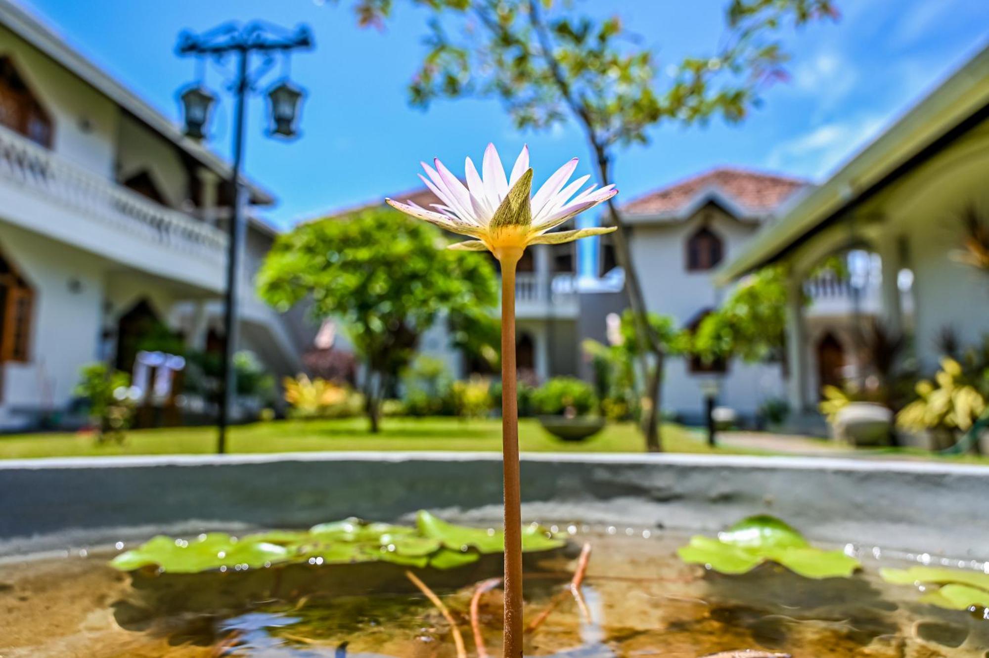 Paradise Holiday Village Negombo Exterior photo